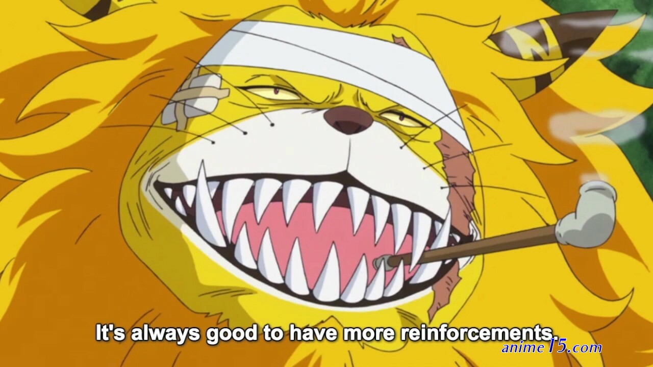 watch one piece episode 772