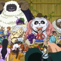 watch one piece episode 772