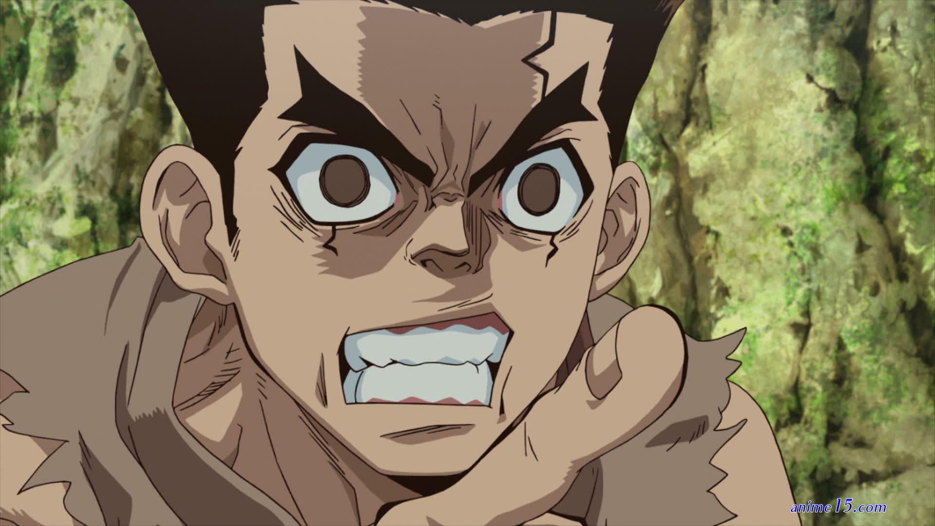 dr stone vostfr