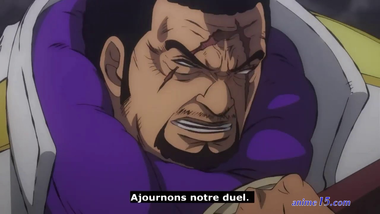 one pièce stampede vostfr