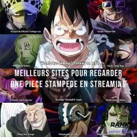 one pièce stampede vostfr