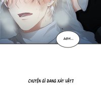 perfect liar manhwa