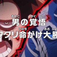 one piece episode 839 sub gogo