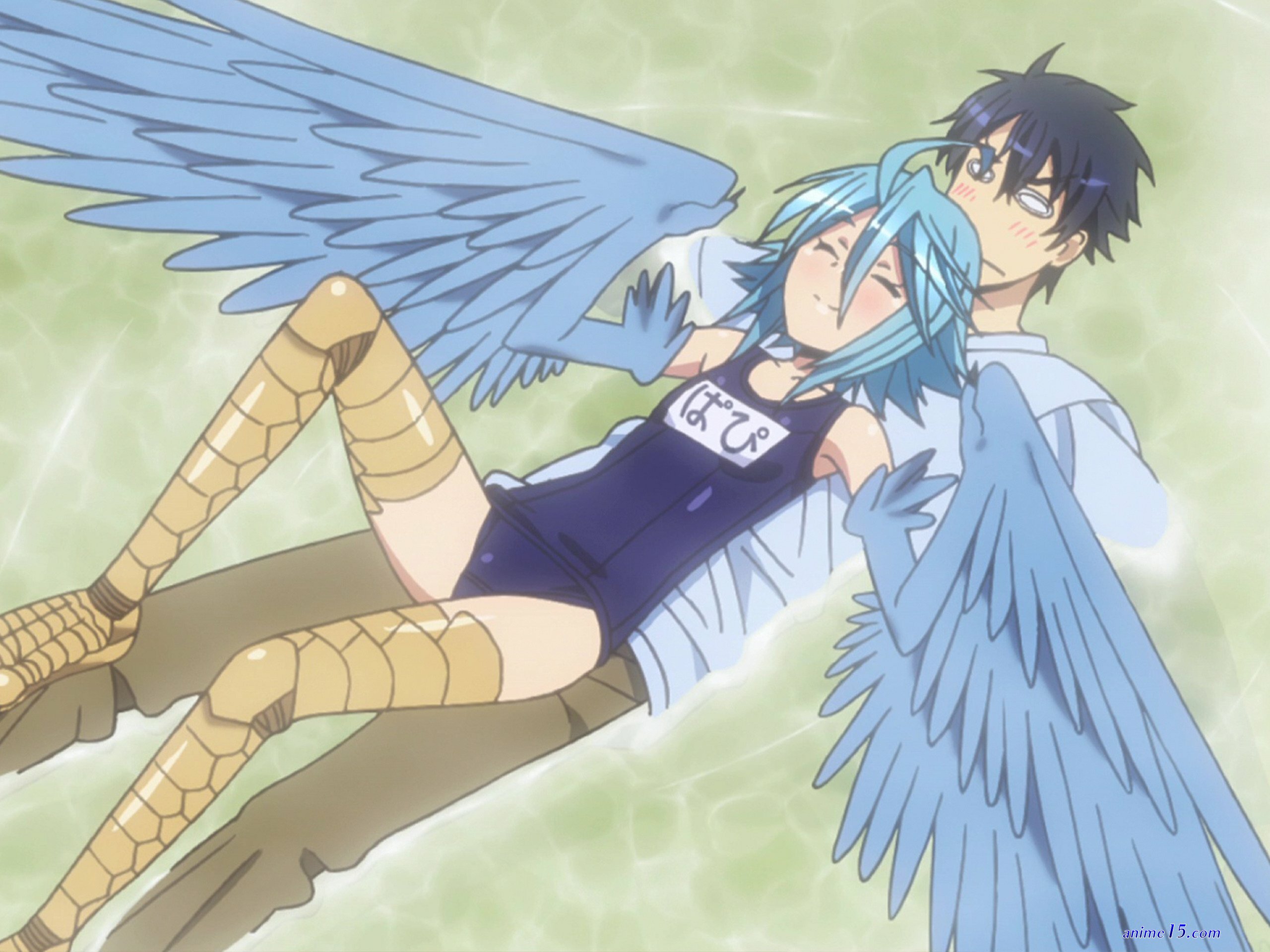 monster musume eng dub
