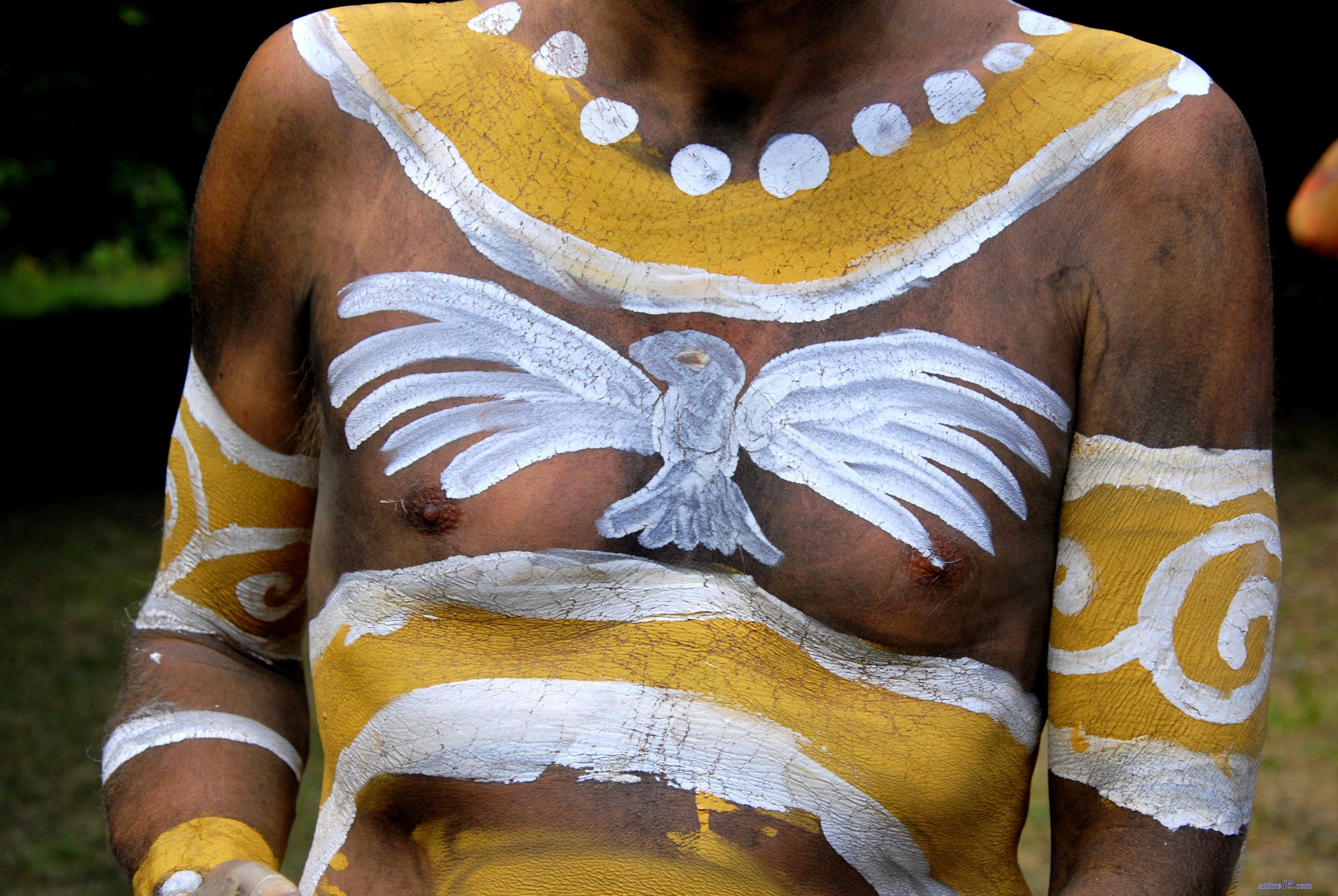 colourful anime nude