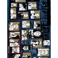 fate strange fake vol 5