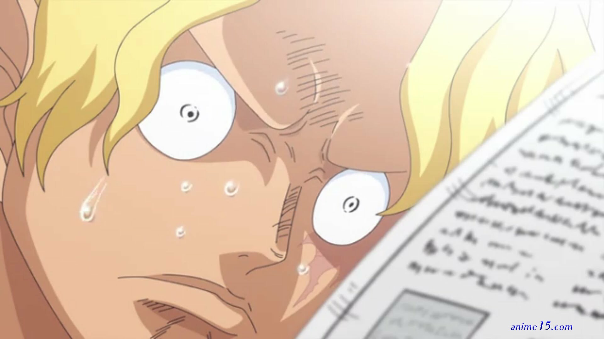 one piece capitulo738