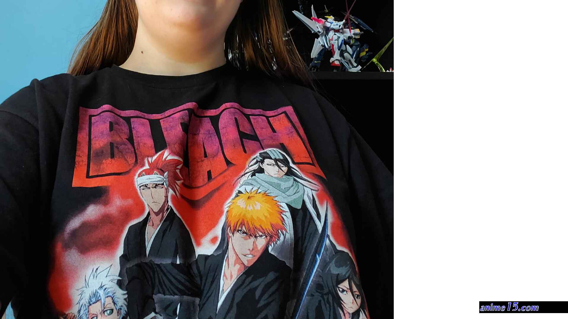 bleach episode 214 subbed