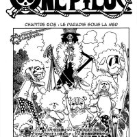 one piece 608
