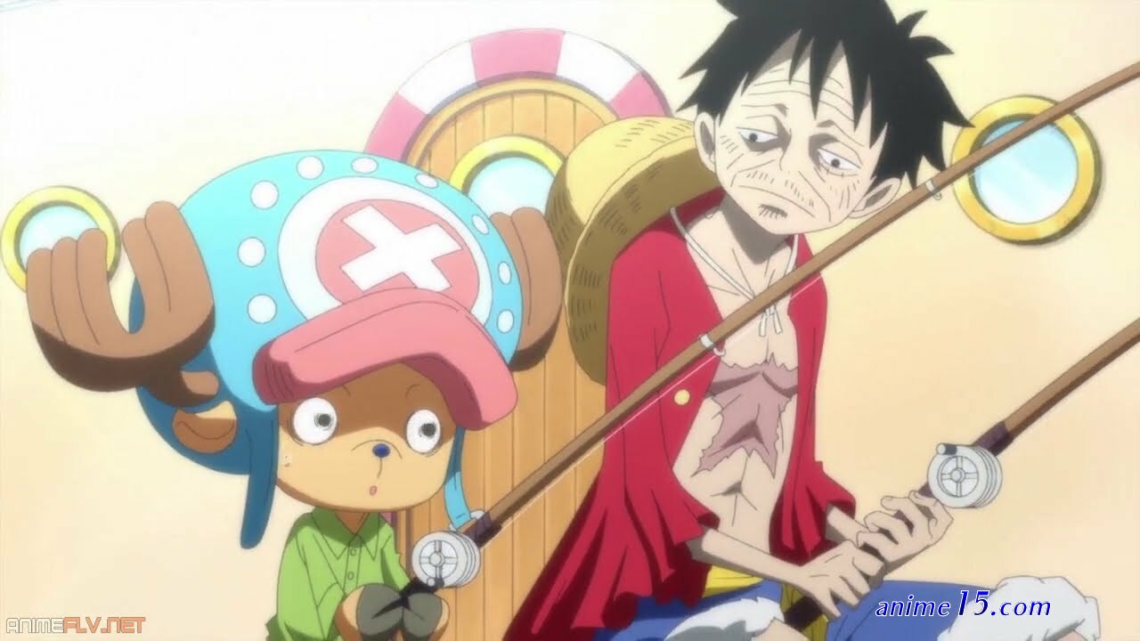 one piece 895 animeflv