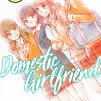 domestic girlfriend online sub
