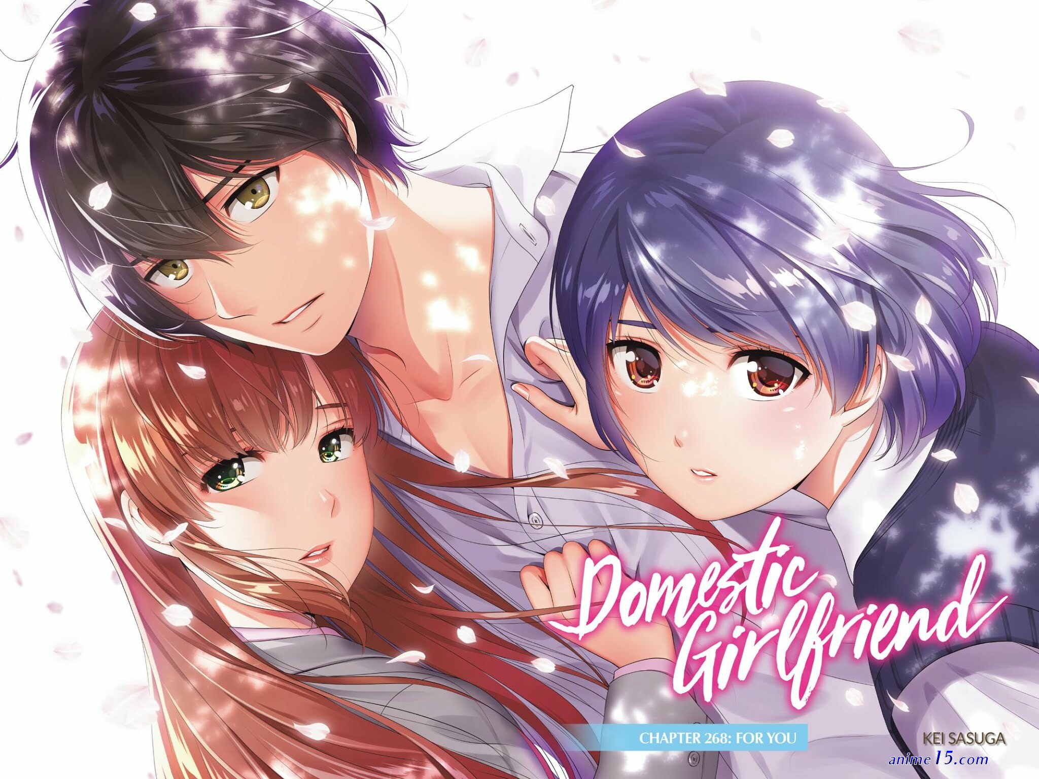 anime 18 domestik na kanojo