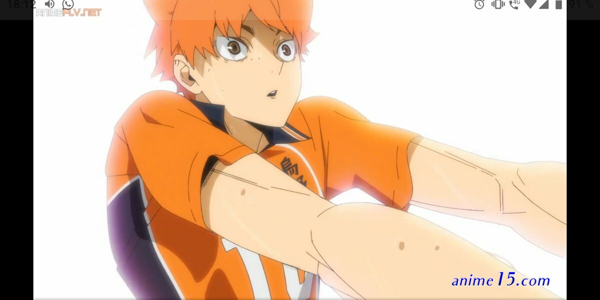 animeflv one piece 843