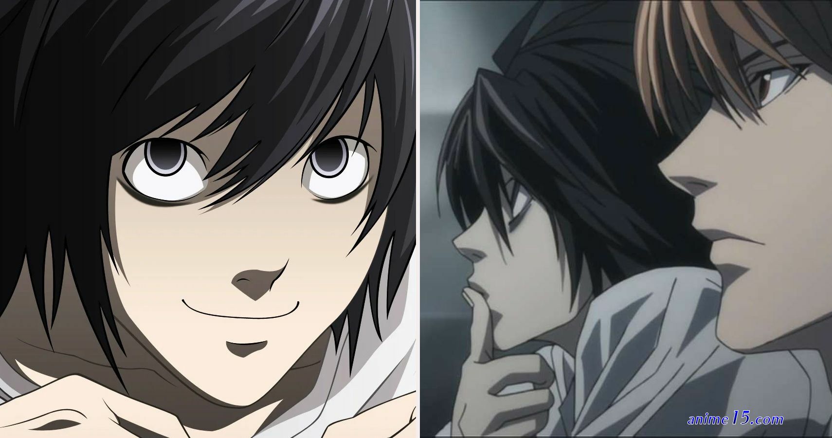 gogo animie death note ep20
