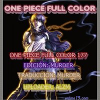 one piece capitulo 177