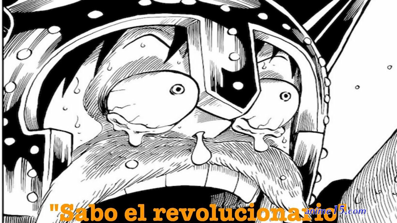 ver one piece 731