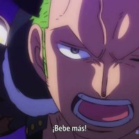 one piece espanol latino cap 161 animeflv