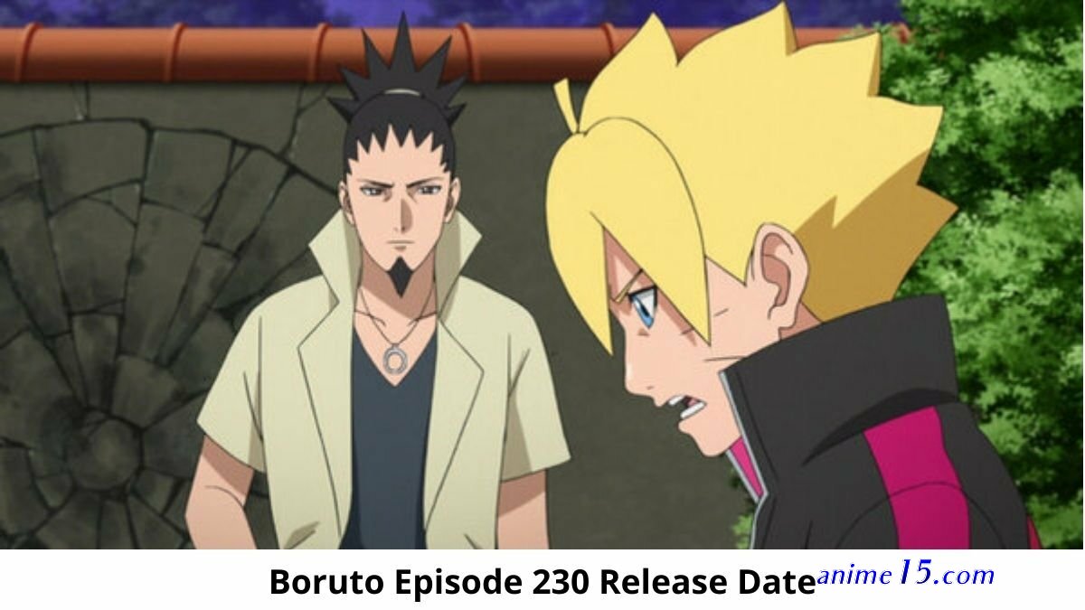 vfboruto episode 230