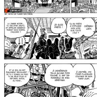 épisode 1005 vostfr one pièce