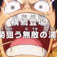 one piece 952 vf