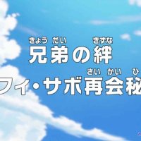 738 one piece