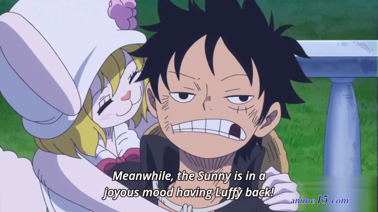 onepiece 874