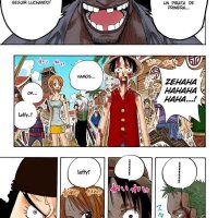 one piece capitulo 225
