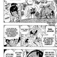 one piece capitulo 911