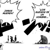 one piece capitulo 225