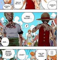 one piece capitulo 225