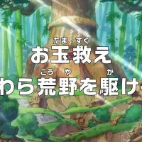one piece capitulo 897