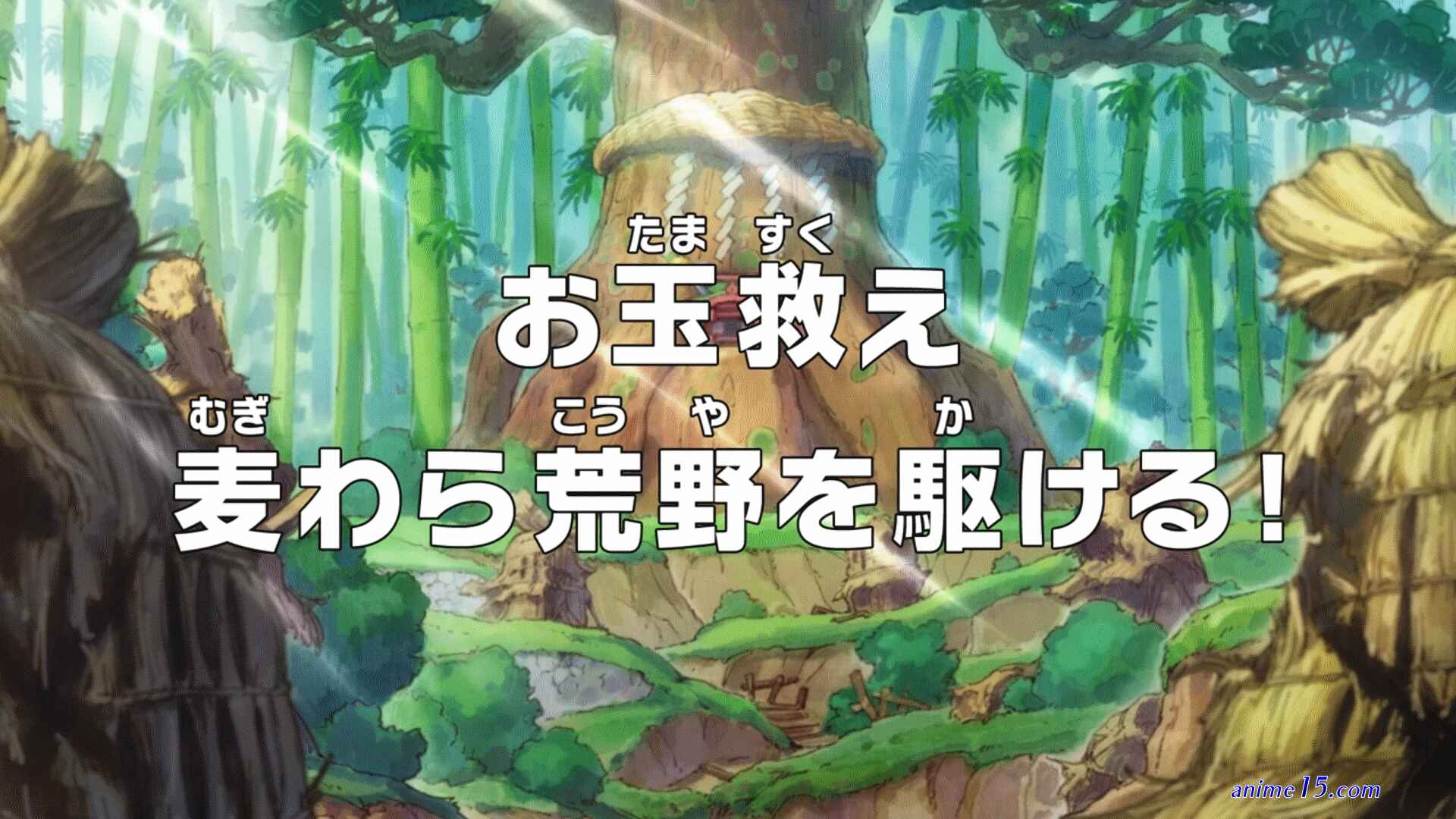 one piece capitulo 897