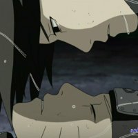 one piece 723 animeflv