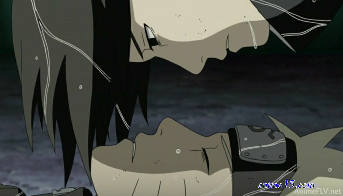 one piece 723 animeflv