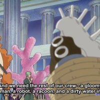 anim.net one piece episodio 421