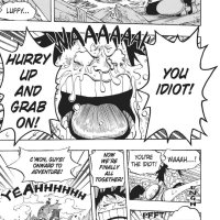 one piece 438