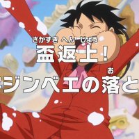 one piece 833