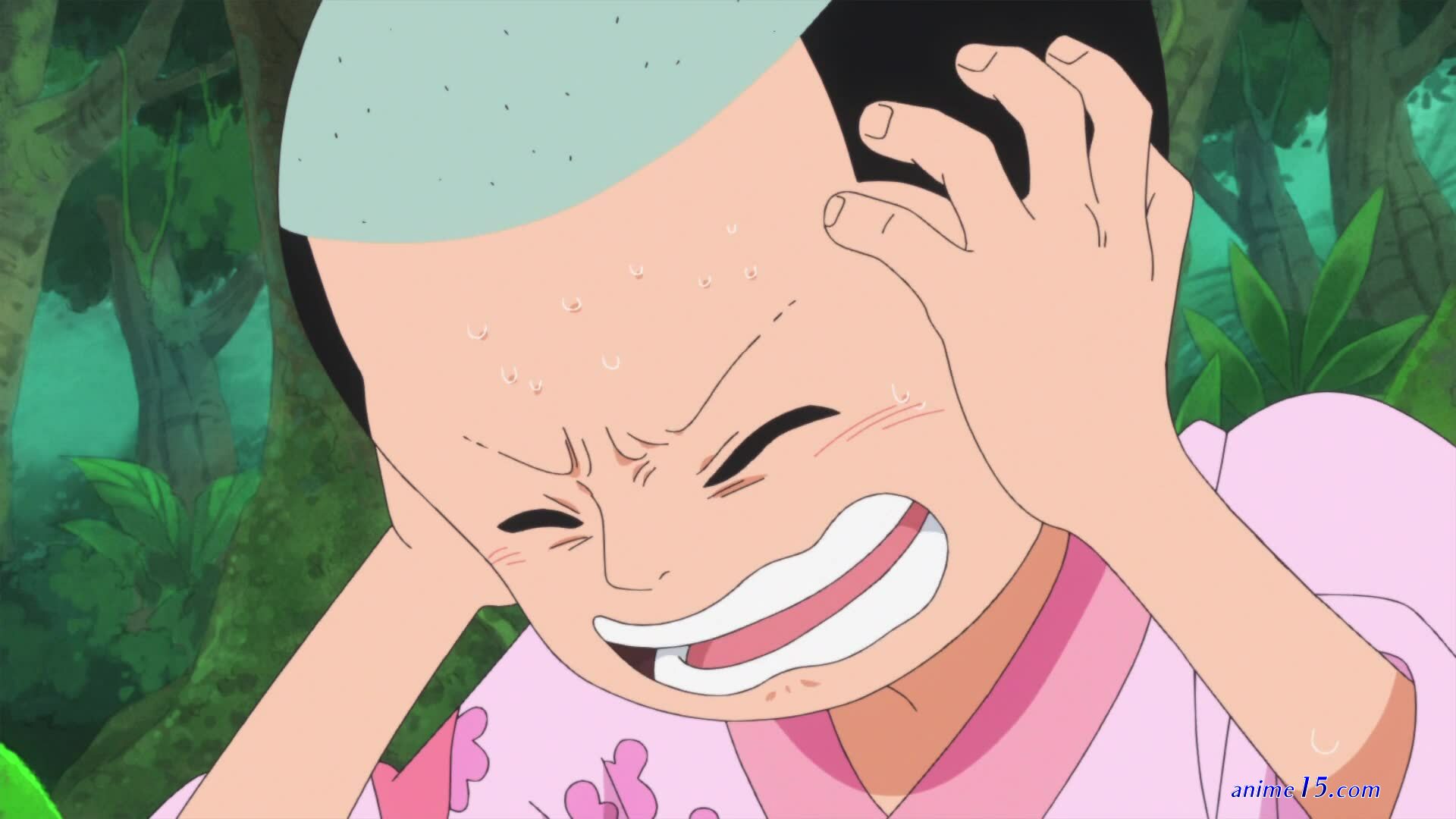 one piece 774 vf st