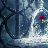 belle vostfr
