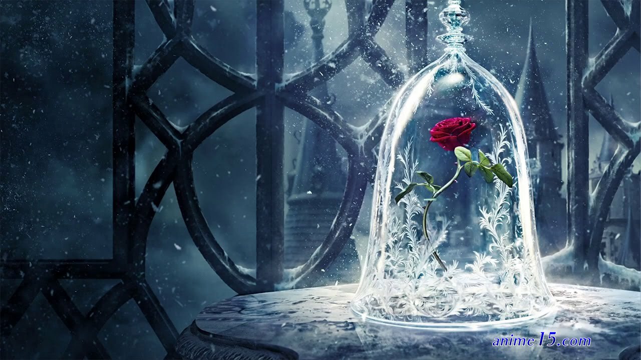 belle vostfr