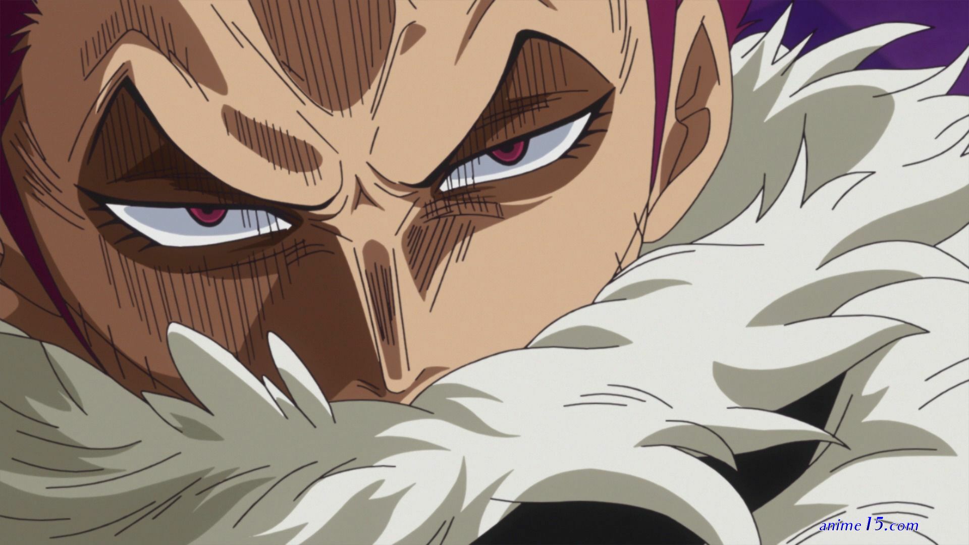 one piece episodio 850
