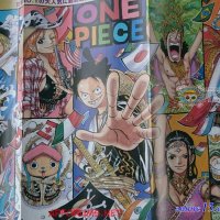 one piece 790