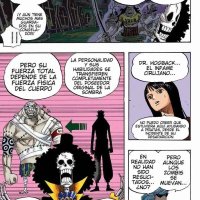 one piece capítulo 455