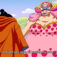 one piece 833
