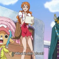 one piece 790