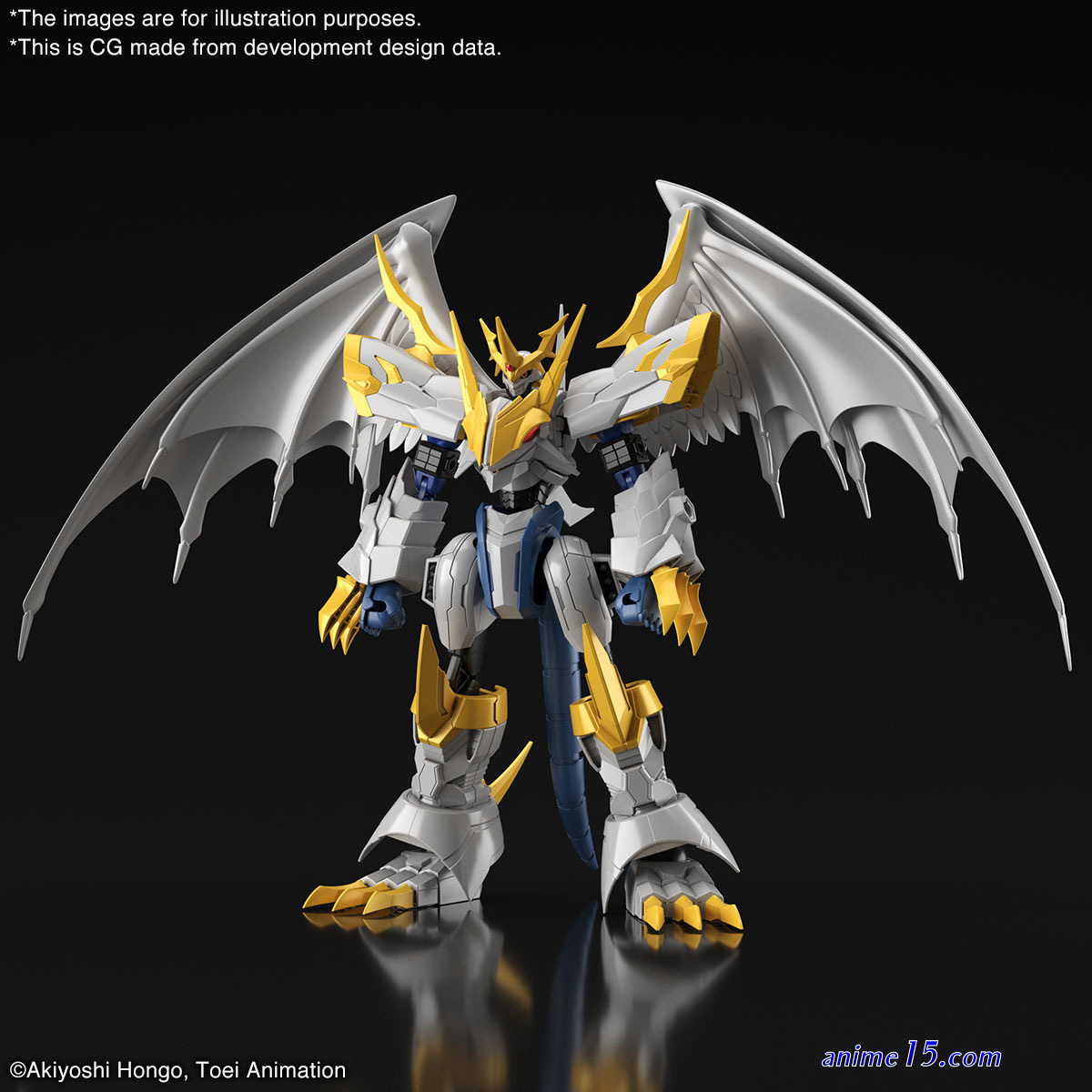 ver paladin