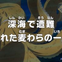 one piece cap 525