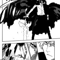 one piece 635 cap