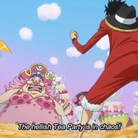 one piece 833