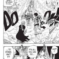one piece 790